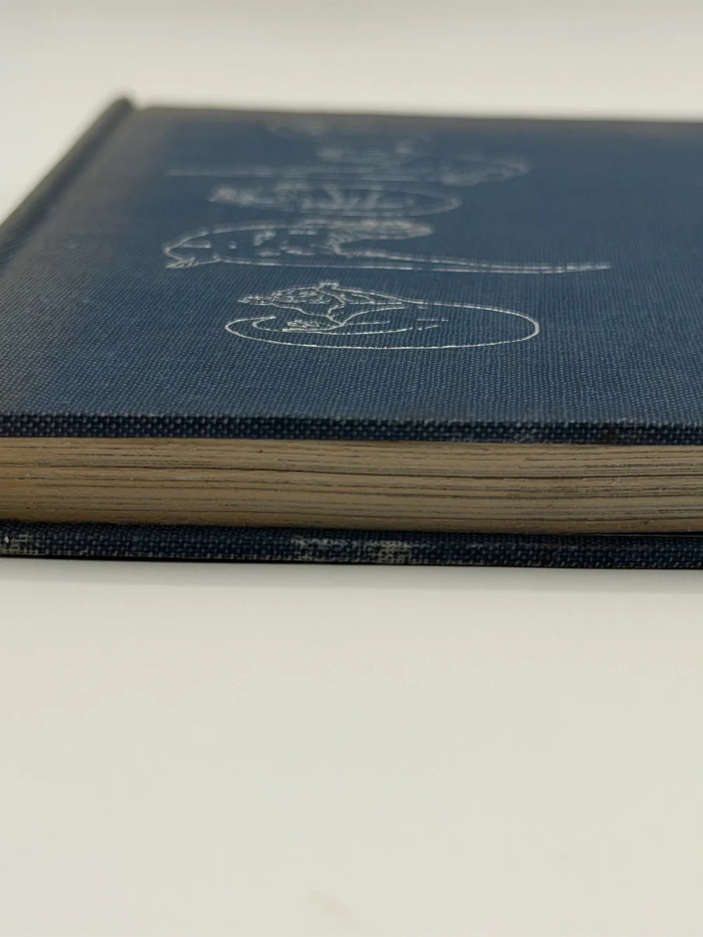 The Otter's Tale by Gavin Maxwell (Hardcover Book, 1962) First Edition